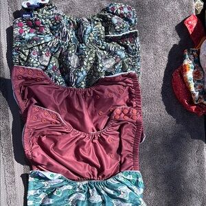 5 cloth diaper trainer underwear